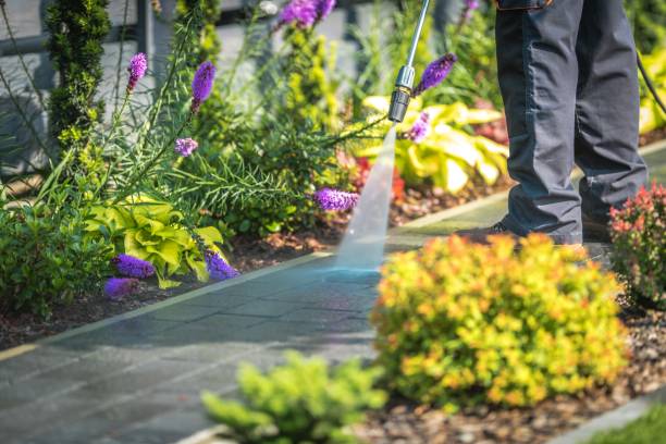 Best Patio and Deck Pressure Washing  in Union Beach, NJ